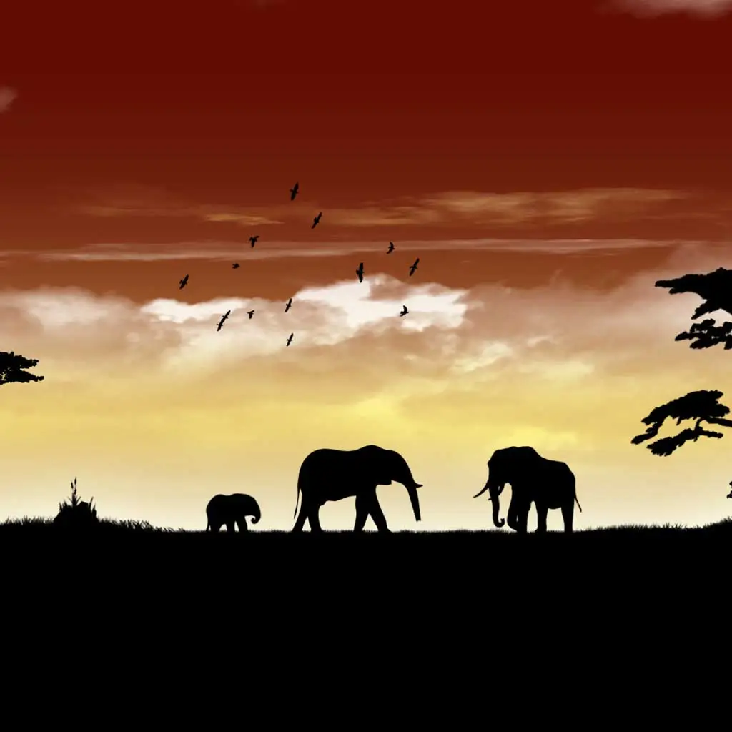 ‘Keşke Alışkanlık’ Listesi 1